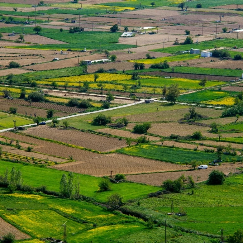 Land and Plots